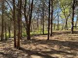 TBD Quail Creek Circle - Photo 23