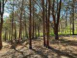 TBD Quail Creek Circle - Photo 24