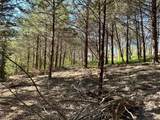 TBD Quail Creek Circle - Photo 29