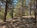 TBD Quail Creek Circle - Photo 30