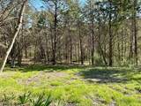 TBD Quail Creek Circle - Photo 6