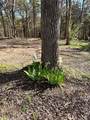 TBD Quail Creek Circle - Photo 8