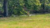 2382 Crystal Drive - Photo 7