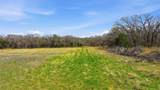 TBD Stallion Meadows Drive - Photo 4