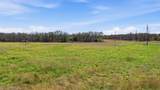 TBD Stallion Meadows Drive - Photo 6