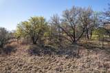 TBD Lot 1038 Oak Point Drive - Photo 24