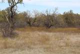 5079 County Road 206 - Photo 24