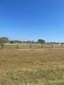 TBD Lake Vista Drive - Photo 3