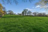 100 Swisher Road - Photo 36