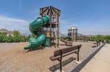 14508 Home Trail - Photo 36