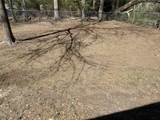 203 Elam Street - Photo 18