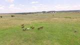 5165 County Road 2013 - Photo 3