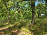Lot 699 Shady Grove Road - Photo 12