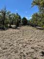 335 Gant Road - Photo 25