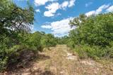 0006/0007 Clayton Mountain Road - Photo 12
