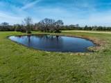311 Private Road 33263 - Photo 5
