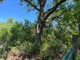 TBD County Road - Photo 11