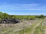 TBD County Road - Photo 6