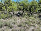 TBD County Road - Photo 8