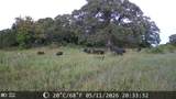 21 AC Erwin - Photo 16