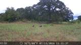 21 AC Erwin - Photo 17