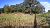 21 AC Erwin - Photo 18