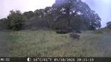 21 AC Erwin - Photo 19