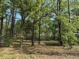 116 Red Bird Lane - Photo 1