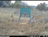 TBD County Road 154 - Photo 17