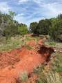 TBD County Road 154 - Photo 20