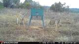 TBD County Road 154 - Photo 4