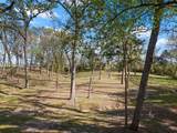 101 Bluebird Street - Photo 38