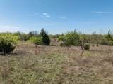 843 Lake Ridge Road - Photo 21