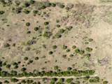 843 Lake Ridge Road - Photo 5
