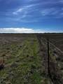 TBD Vz County Road 3504 - Photo 17