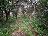 TBD Barnacle - Photo 7