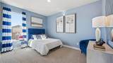 2611 Flycatcher Drive - Photo 30