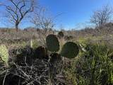 343 Palmilla Drive - Photo 6