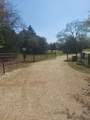 224 County Road 290 - Photo 2