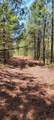 0 Jewell Gooch Road - Photo 2