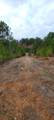 0 Jewell Gooch Road - Photo 9