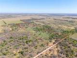 TBD 20 Acres Cr 186 - Photo 12