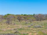 TBD 20 Acres Cr 186 - Photo 28