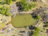 TBD 20 Acres Cr 186 - Photo 4