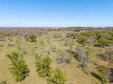 TBD 20 Acres Cr 186 - Photo 6