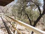 550 Chaparral Drive - Photo 9