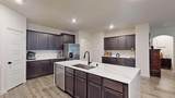 2101 Camellia Street - Photo 11