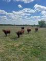 12716 Fm-59 Highway - Photo 1