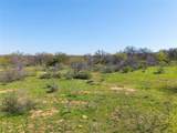 TBD 52 Acres Cr 195 - Photo 11