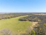 TBD 52 Acres Cr 195 - Photo 16